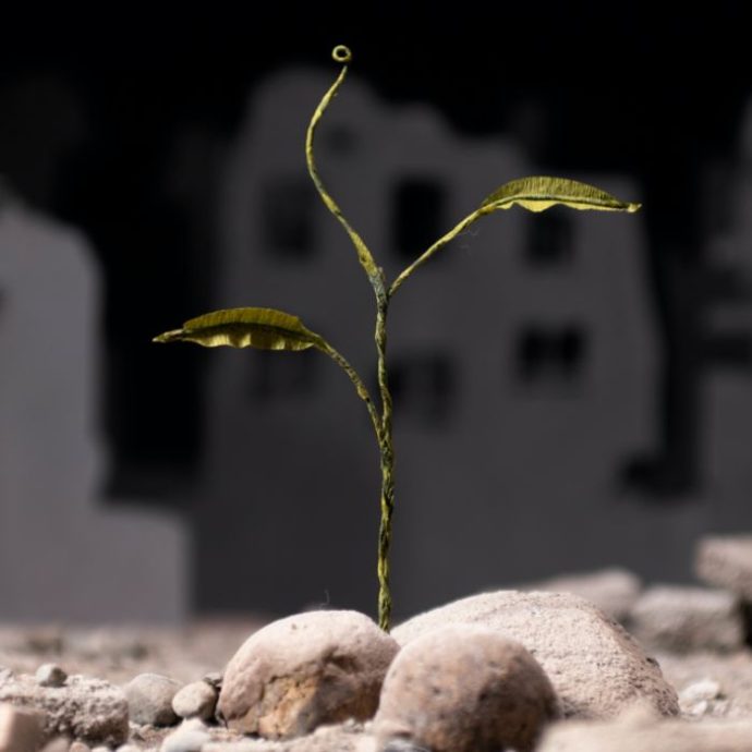 Diseño sin título (9)